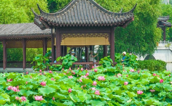 网络平台配资 ​最美的风景，永远属于人民：从“百湖之市”到“千园之城”的绿色答卷