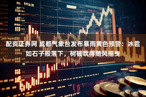 配资证券网 成都气象台发布暴雨黄色预警：冰雹如石子般落下，树被吹得随风摇曳