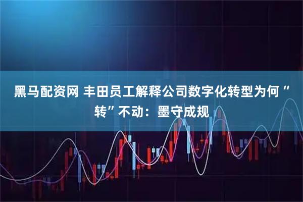 黑马配资网 丰田员工解释公司数字化转型为何“转”不动：墨守成规